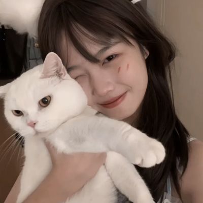 小米热血三国手机版下载